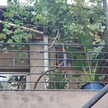 تبليسي 2 Santeli Turn Guest House المظهر الخارجي الصورة